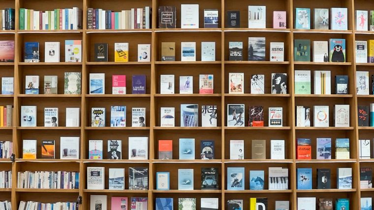 Lots of books in a shelf wall